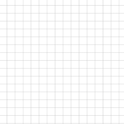 Notebook Insert | 5mm Grid
